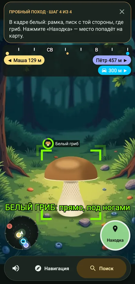 Поиск: рамка вокруг белого гриба